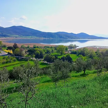 Le Terre Di Isa Magione