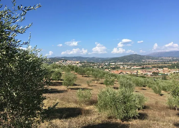 Farm stay Le Terre Di Isa *